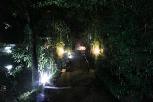 IMG 4018-2 - Copy