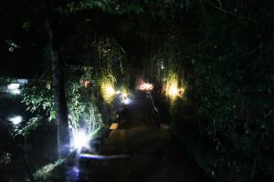 IMG 4018 - Copy
